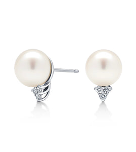 11.5mm White South Sea Pearl Earrings