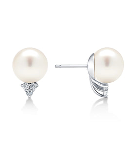 11.5mm White South Sea Pearl Earrings