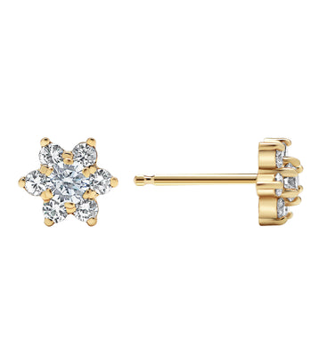 Diamond Earrings