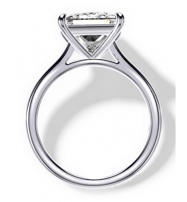 3.53 Carat F VS2 Princess Cut Diamond Engagement Ring