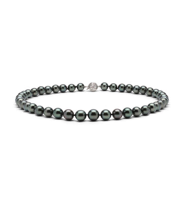 Tahitian South Sea Pearl Strand 9-11.6mm
