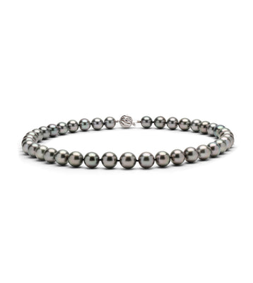 Tahitian South Sea Pearl Strand 9.12-11.05mm